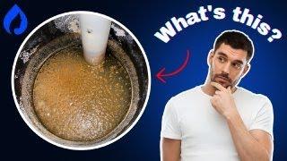 Why I Have Brown Sludge In Water Softener Tank [Solved!]