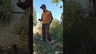 Mehnat