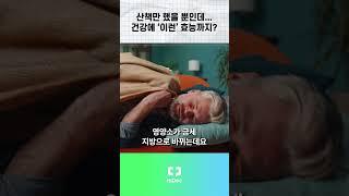 산책만 했을 뿐인데… 건강에 ‘이런’ 효능까지?