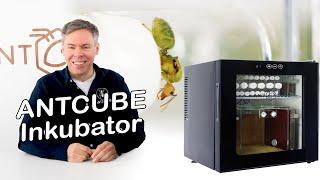 ANTCUBE Incubator II - with many new improvements