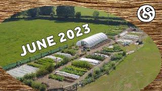 June 2023 Tour of our Market Garden and Food Forests