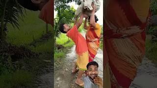 A disabled duckling helps his cat friend  P97#CuteAnimal​#DuckRescue​#AnimalRescue​ #babyduck