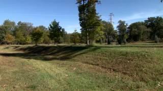 Oklahoma Forestry Stewardship Program: Urban Forest