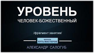 УРОВНИ РАЗВИТИЯ ЧЕЛОВЕКА-БОЖЕСТВЕННОГО / онлайн-школа ПУТЬ МАСТЕРОВ / Александр Салогуб