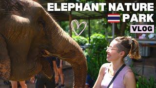 ELEPHANT NATURE PARK 2023 VLOG (CHIANG MAI, THAILAND)  | Backpacking Ep. 05