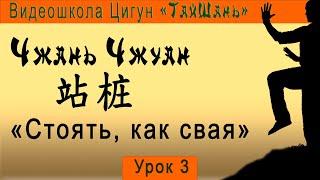 3. Цигун:  ЧжаньЧжуан «Стоять как свая»