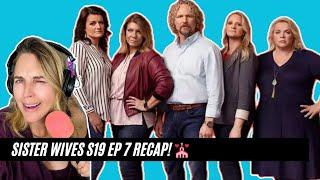 Sister Wives S19 Epi 7 RECAP: Kody + Meri Are FINALLY Divorced, Christine + David Make Wedding Plans