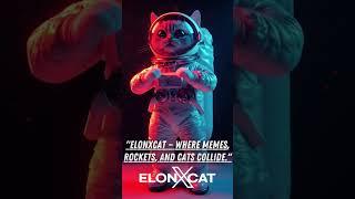 ElonXCat Steering Meme Coins Toward the Stars  || ELONXMUSK & SPACEX MEME COIN ||