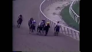 Alysheba Career Highlights