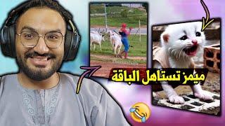 تحدي الضحك على الفيديوهات اللي بيضيع اخوك الباقة عليها 