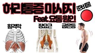 허리통증 마사지 포인트 3가지. Feat.요통 원인, 셀프마사지