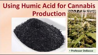 Using Humic Acid for Cannabis Production