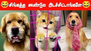 சாப்டுட்டு அப்றமா கோவ பட்டுக்குவோம்...#viral #trending #comedy #funnyanimalvideos