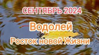 ВОДОЛЕЙ  СЕНТЯБРЬ 2024 Тароскоп