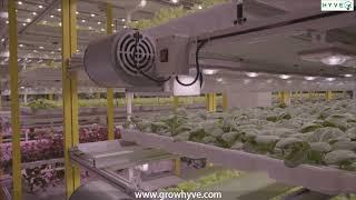 HYVE Indoor Farming Systems Plant Factory