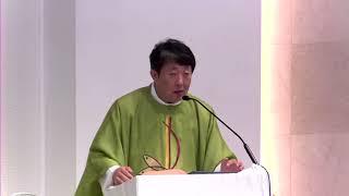 [매일미사 강론] 휴가 잘 다녀왔습니다! 예수님을 올바르게 따라가고 있다면 절대로 부유해 질 수 없습니다. 연중 제11주간 금요일 25.06.20. / 김재덕 베드로 신부