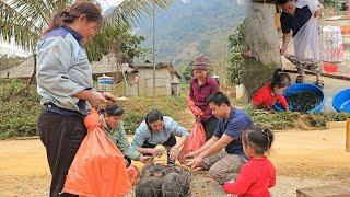 Bring the piglets to the market to sell-Stocking 3,500 fish into my pond at the farm/XuanTruong.