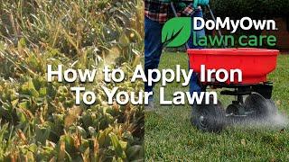 How to Apply Iron To Your Lawn | DoMyOwn.com