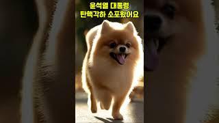 탄핵각하#강아지 #탄핵무효 #윤석열 #광화문 #대한민국 #자유대한민국 #ai