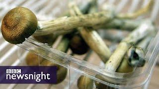 EXCLUSIVE: Could magic mushrooms treat depression? BBC Newsnight