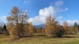 Traumreise von Dr. Arnd Stein (Herbst auf der Wolzenalp)