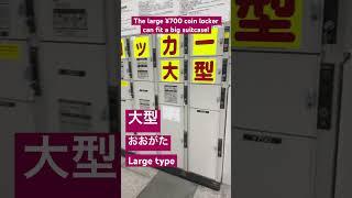 Kanji Kentei level 6 compound 大型 meaning "Large Type” or "Large Model!" ｜漢字検定六級