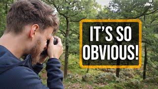 The BEST Woodland Photography Advice I've Ever Heard!