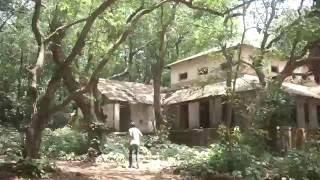 Photographer Nirvair Singh Rai strolls through the forest of Matheran