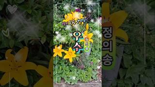 우수 정의송