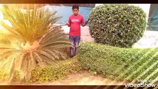 Pardeep gee
