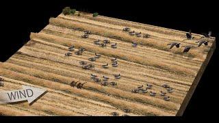 GOOSE HUNTING TIPS (Find, Fool and Finish Geese in a Field) EPIC Drone/4K/ShotKam Footage!!!