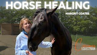 Horse Healer Margrit Coates: Understanding Horse Energy