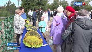 В Черногорске выбрали самый большой подсолнух