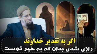 اگر به تقدیر خداوند رازی شدی بدان که به خیر توست/ استاد عبدالسلام عابد