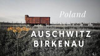 Auschwitz Birkenau Tour Poland #auschwitz #birkenau #holocaust