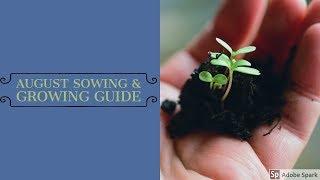 August Sowing & Growing Guide