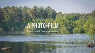 Delamere Forest Engagement Shoot by Cheshire Wedding Photographer Paul Kyte.