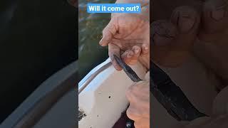 Does the hook come out?