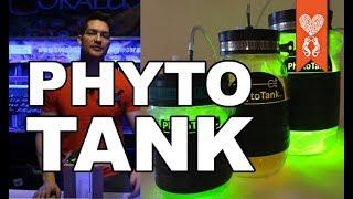 Poseidons Reef Systems Tank Phytoplankton Kit Unboxing by Coralust