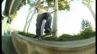 DVS Skate More - Kerry Getz