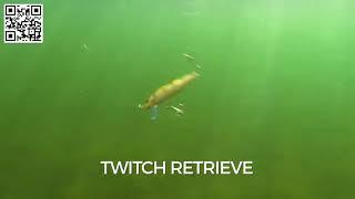 Swimming Action Rapala CountDown   YouTube ImportaExpertos