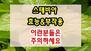 스테비아 효능과 부작용 잘 알고 드셔야해요~