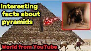 Interesting facts about the world| Egypt| Pyramids| Travel