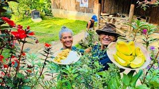 Mira todo lo que pasó cocinando en el campo más lindo de jarabacoa RD, se cayó de alto.