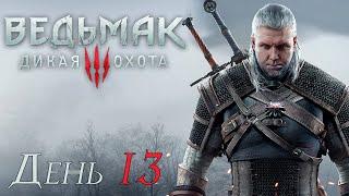 Марафон Ведьмаков | The Witcher 3: Wild Hunt | День 13