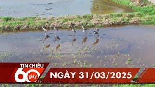 60 Giây Chiều - Ngày 31/03/2025 | HTV Tin tức