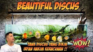 SETUP DISCUS AQUASCAPE 2 METER  !!