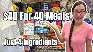 4 Ingredient Meals using $40 in Groceries | Fast and Easy Recipes | Inflation Proof Meals