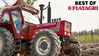 Best of FIAT - FIATAGRI 2019 | AgroNord | 4K