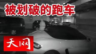 《天网》辽宁一车主报警称：“自己的保时捷跑车篷布被划！”20241224